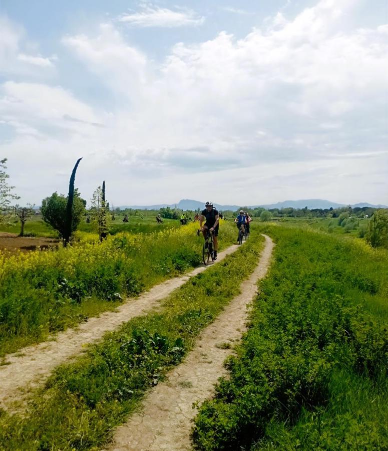 Agriturismo Borgonuovo ريميني المظهر الخارجي الصورة